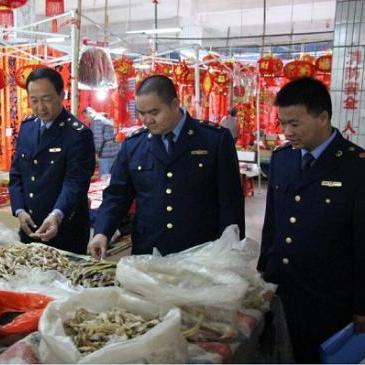 浦北繁荣交汇点，最新发展概览