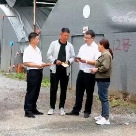 2025最新免流系统解析，优势与应用探讨