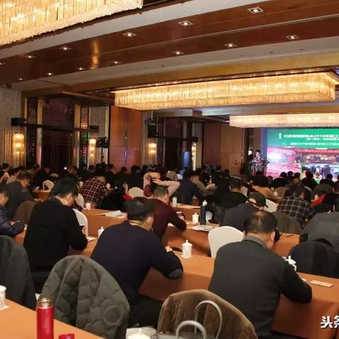 徐州蔬菜批发价格走势分析