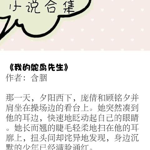 辛夷坞最新小说，精彩纷呈的故事世界