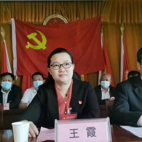 新蔡县最新规划详解，县城发展新蓝图