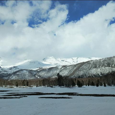 长白山的雪，最新观测与发现摘要