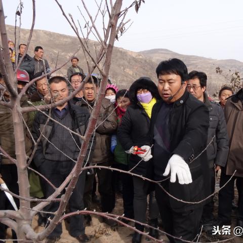 庄浪县人社局公告更新