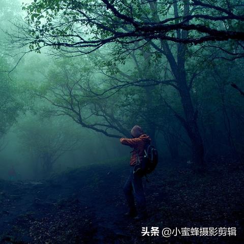 养鬼为祸最新章节及概述概览