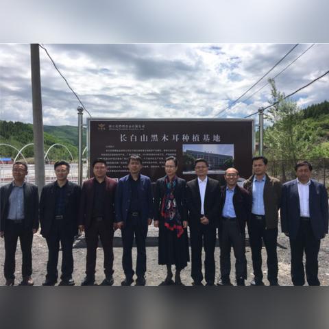 三优更新引领休闲生活潮流的视频内容发布