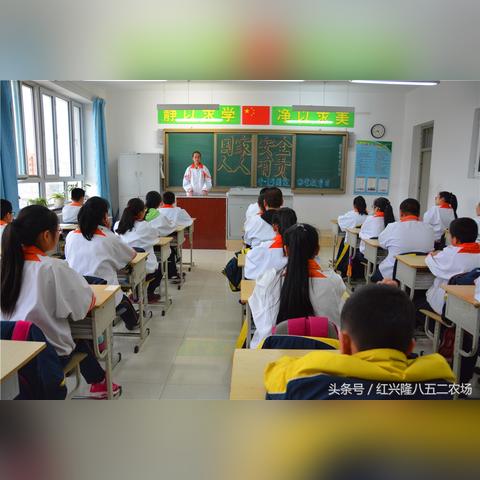 全民农场最新下载指南，版本更新与下载攻略