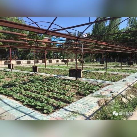 昌吉旅行社最新排行榜榜单