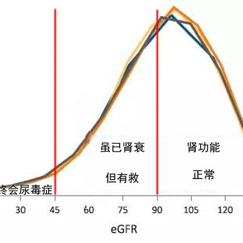 尿毒症最新研究突破进展