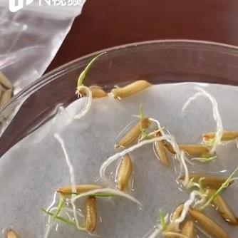 嫦娥三号最新动态视频揭秘，中国月球探测新里程碑突破