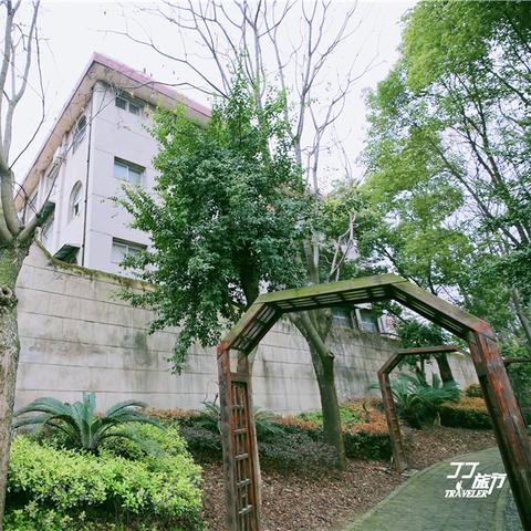 武汉领事馆最新进展深度解读