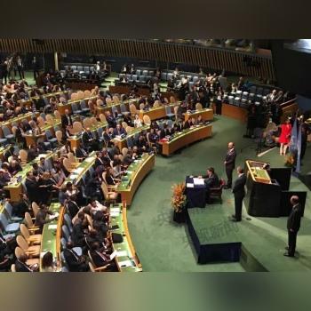 台风塔拉斯即将登陆，全球气候受影响最新消息（XXXX年XX月XX日）