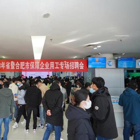 京东方招聘网实时招聘动态深度解析