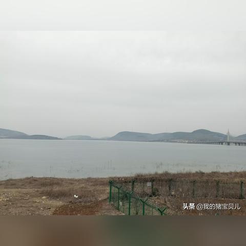 枣庄庄里水库最新进展解析报告