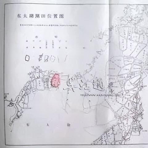饭来张口