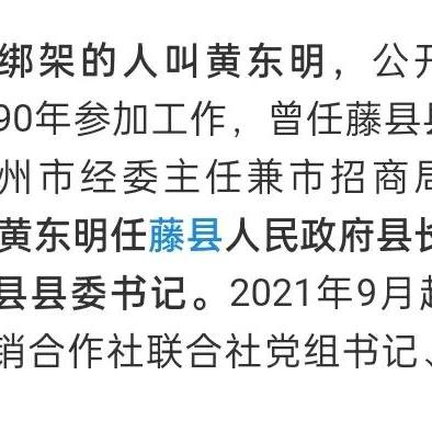 广西人事任免动态及分析（2025最新）
