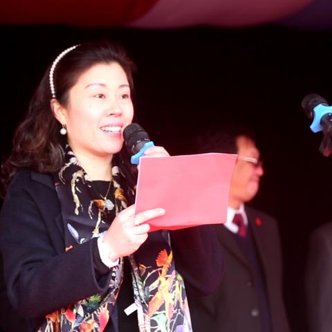 河间市最新规划概览解读