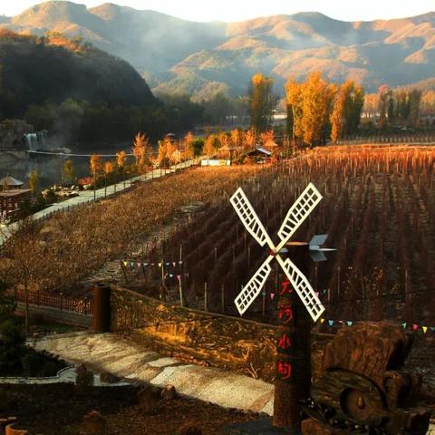 最新916快车时间表与乘坐指南全解析