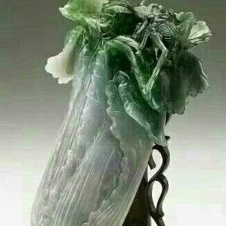 异能寻宝家，古玉之谜最新章节揭秘
