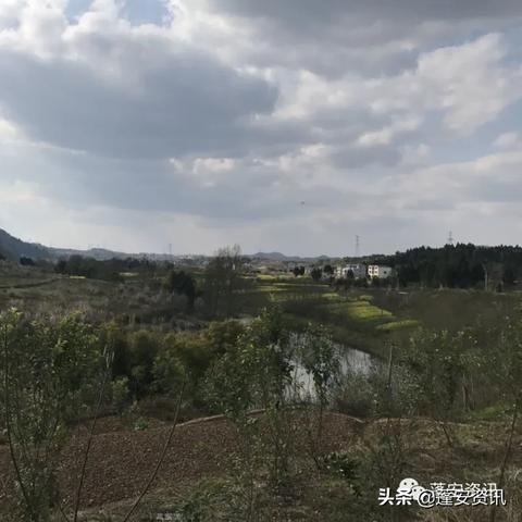南充顺蓬公路最新进展消息