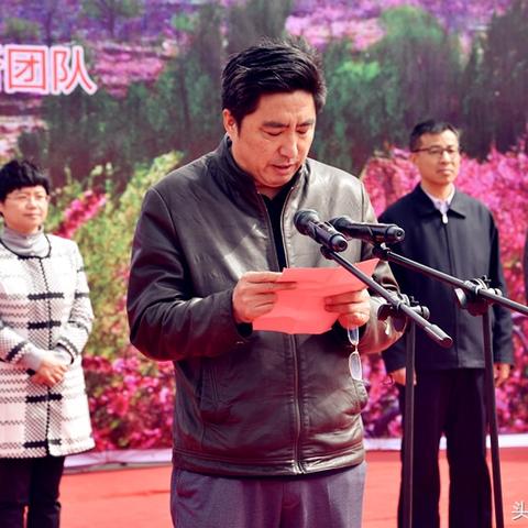 蒙阴兔毛最新行情分析，价格走势概览