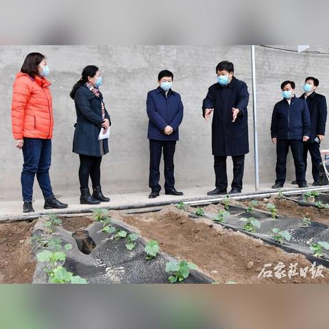 赵县新任县委书记履新实录