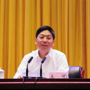 湖南南县县委常委最新概述