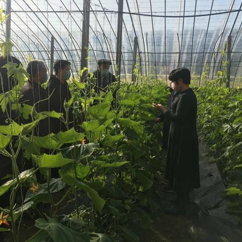 寿光市委常委最新概况介绍