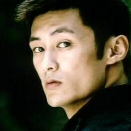 甄子丹热血激战，武打电影的深度解析与数据解读