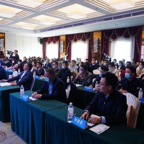 揭秘数字背后的故事，最新内部万元报告解析