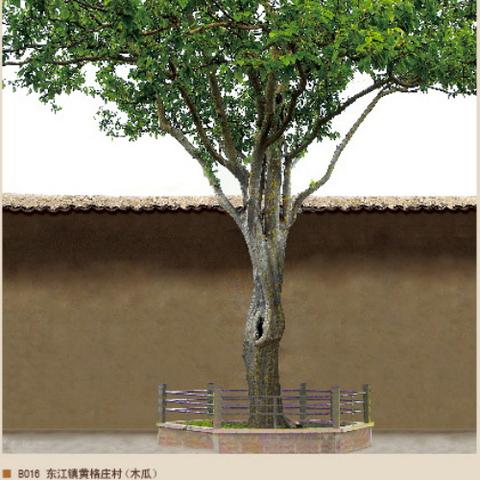龙口东江招聘信息更新速递