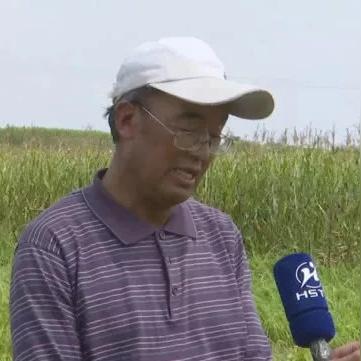 删华就素