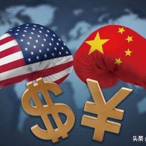 流浪狗救助行动，拯救生命的力量在行动