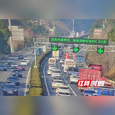 查开放房最新网址，便捷掌握实时信息渠道