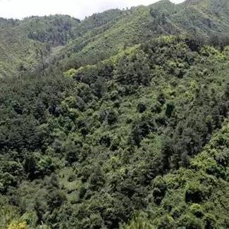 巍弥公路最新动态消息