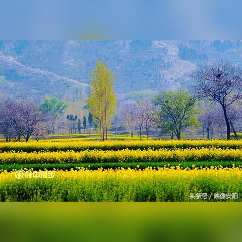 安阳最新地图详解