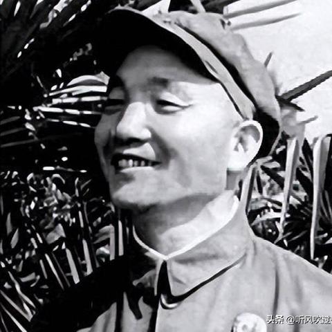 时光深处的探索洞察，他的视角观察与解读
