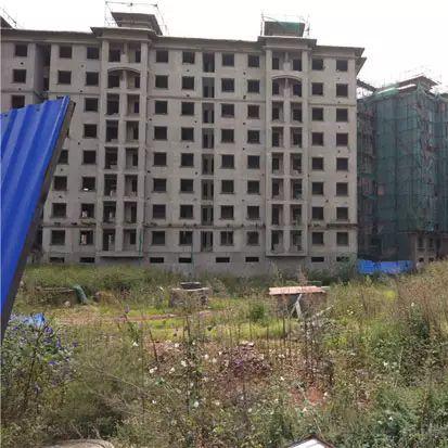 仁泽地产最新动态概览
