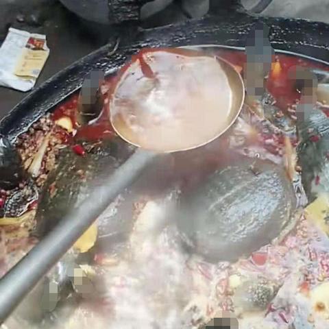 最新网络骂人词语盛行现象深度解析