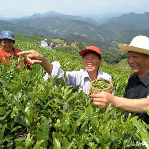 勉县最新新闻快报
