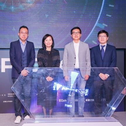 最新基金收益排名大揭秘，哪些基金领跑市场？