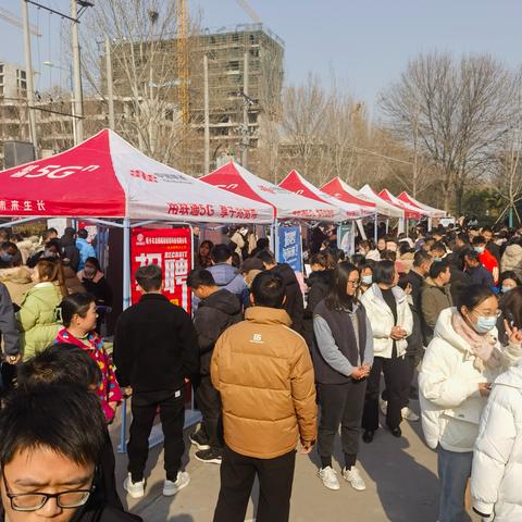 原阳县最新招聘信息全面解析