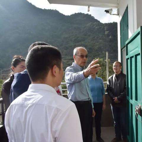 神火集团最新深度报道消息汇总