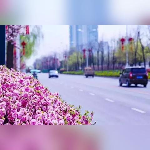宝鸡至礼泉时刻表最新发布