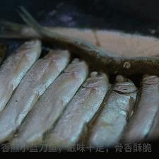 最新河流野钓鲫鱼技巧解析，视频、装备与实战分享