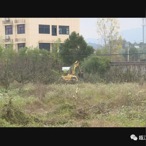 武村风最新风采，繁荣社区新面貌