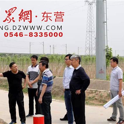 东营河广大道最新动态更新