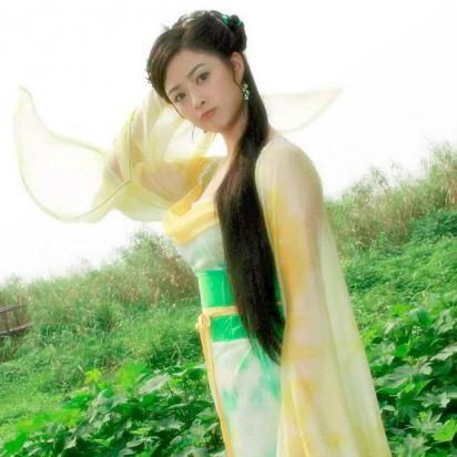 七仙女演员阵容大揭秘及角色深度解析