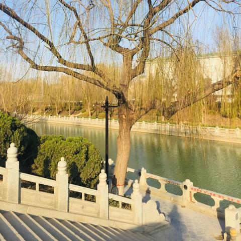 古运河聊城段动态更新，最新消息一览