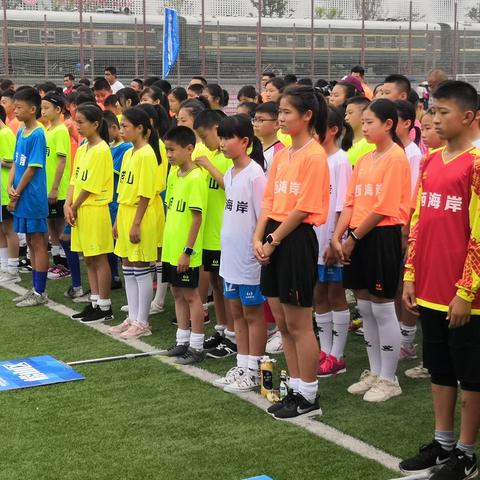 中德生态园最新动态速递
