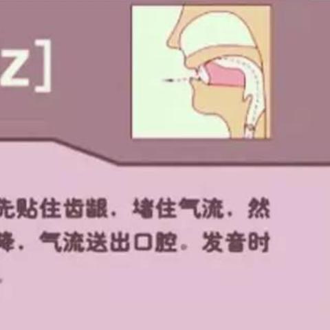 国际音标发音视频大全，提升发音准确性必备